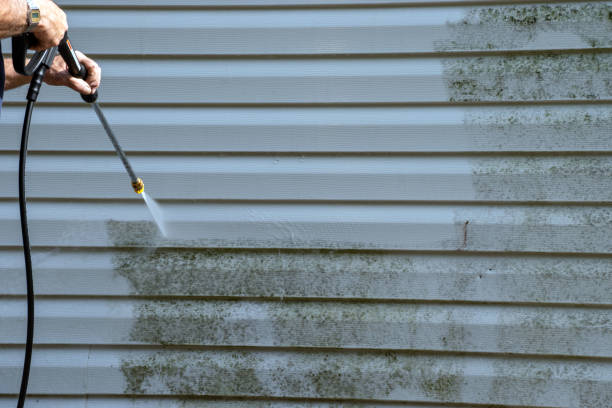 Best Same-Day Junk Removal Services  in Morgantown, KY